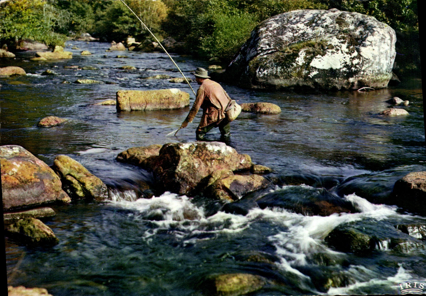 Pêcheur de truites — scène de rivière — Iris