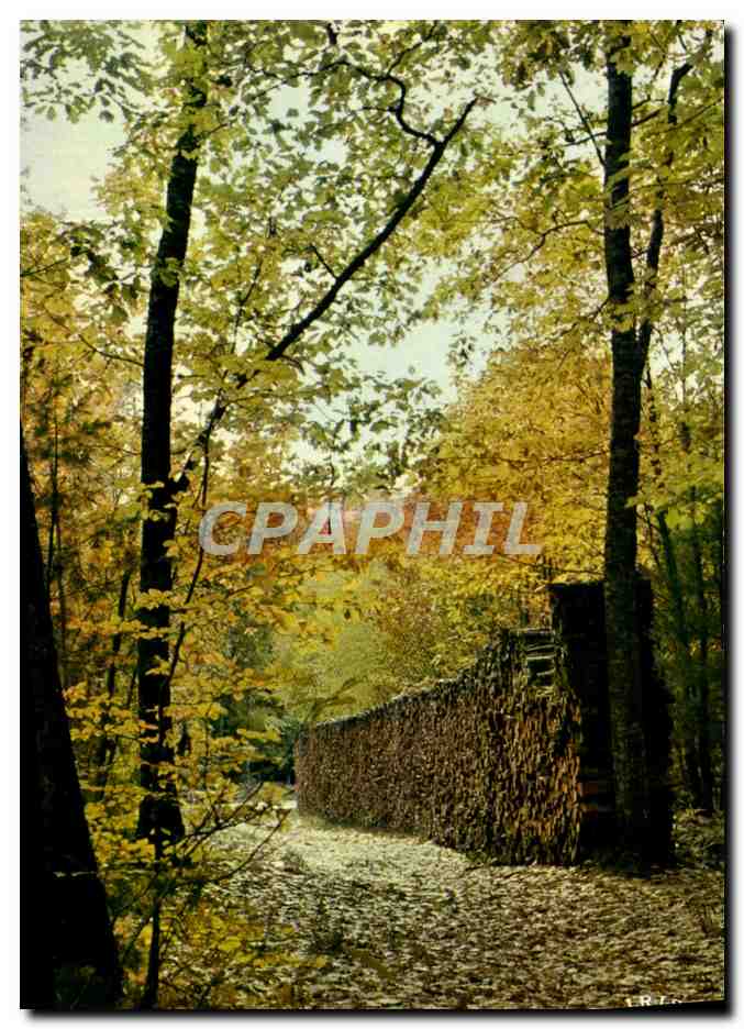 CPM Derniers jours d'automne