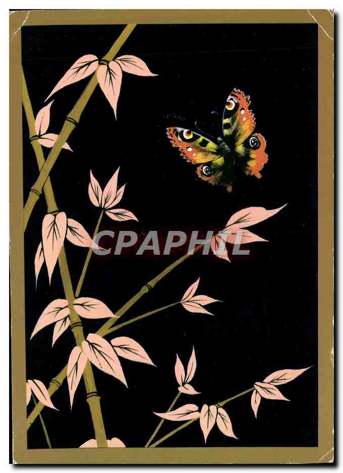 CPM Papillon