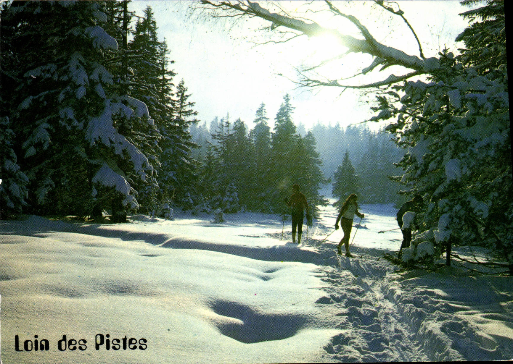 Fern der Pisten — Schneeschuhlaufen in einem verschneiten Wald — Éditions J. CELLARD