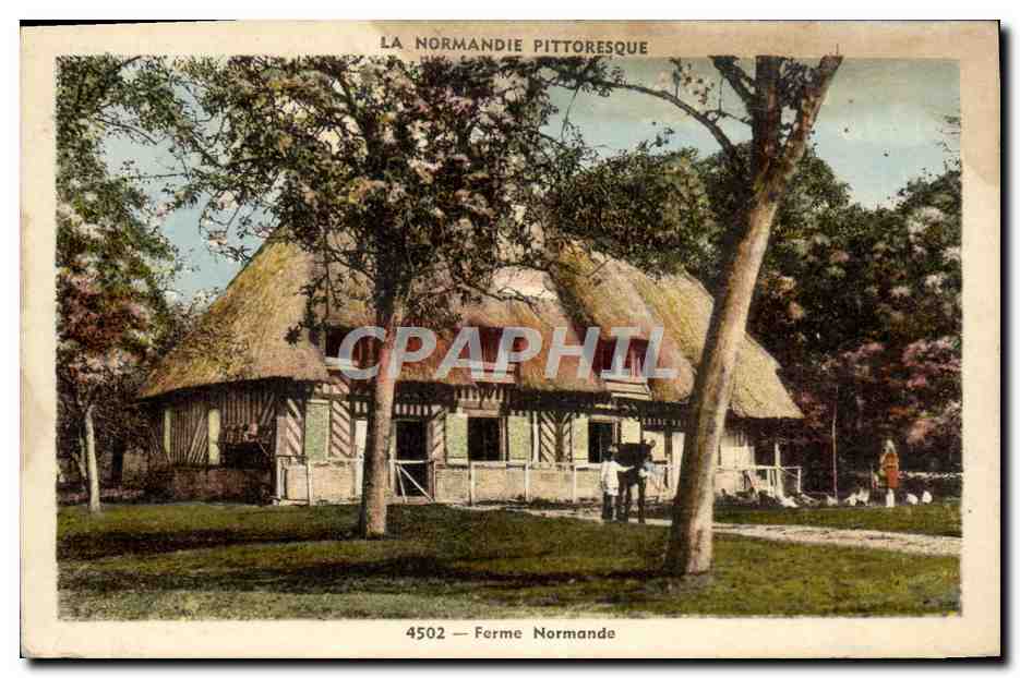 CPM La Normandie Pittoresque Ferme Normande