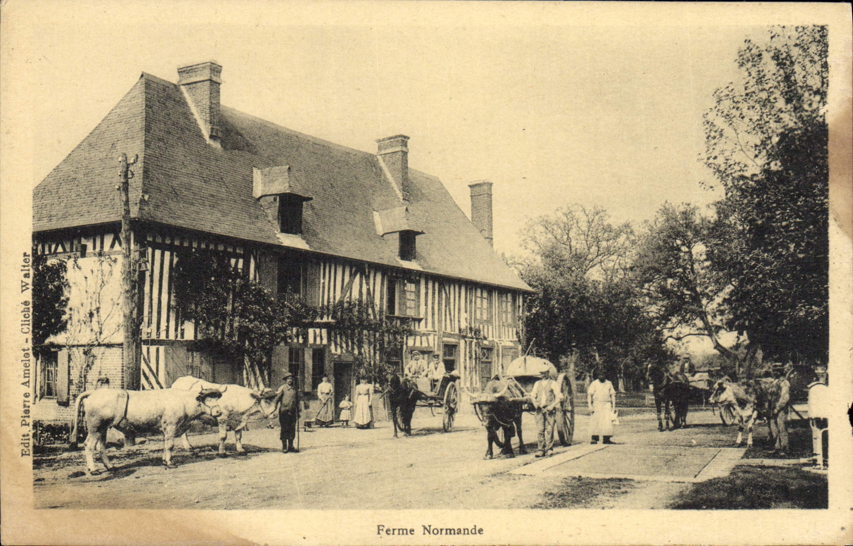 CPA Ferme Normande Attelage Boeufs