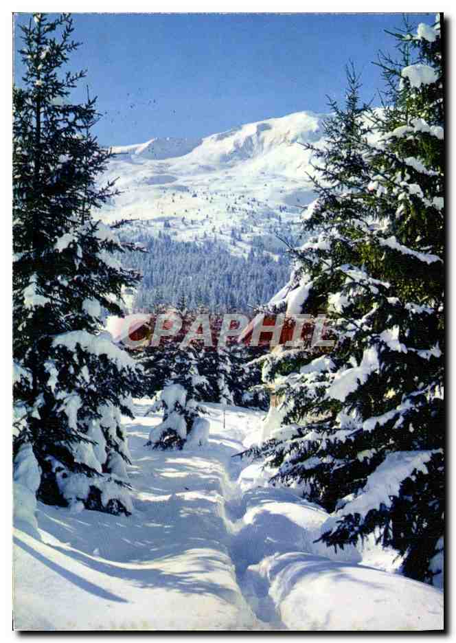 CPM Dans Nos Montagnes Majestueux hiver