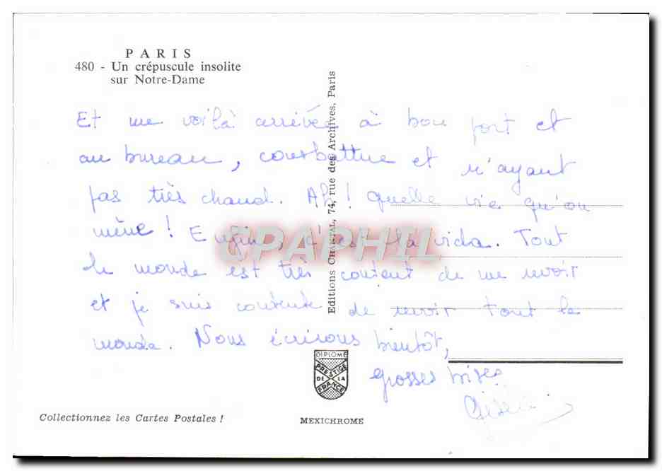 CPM Paris Notre Dame Un crepuscule Insolite sur Notre Dame — Verso