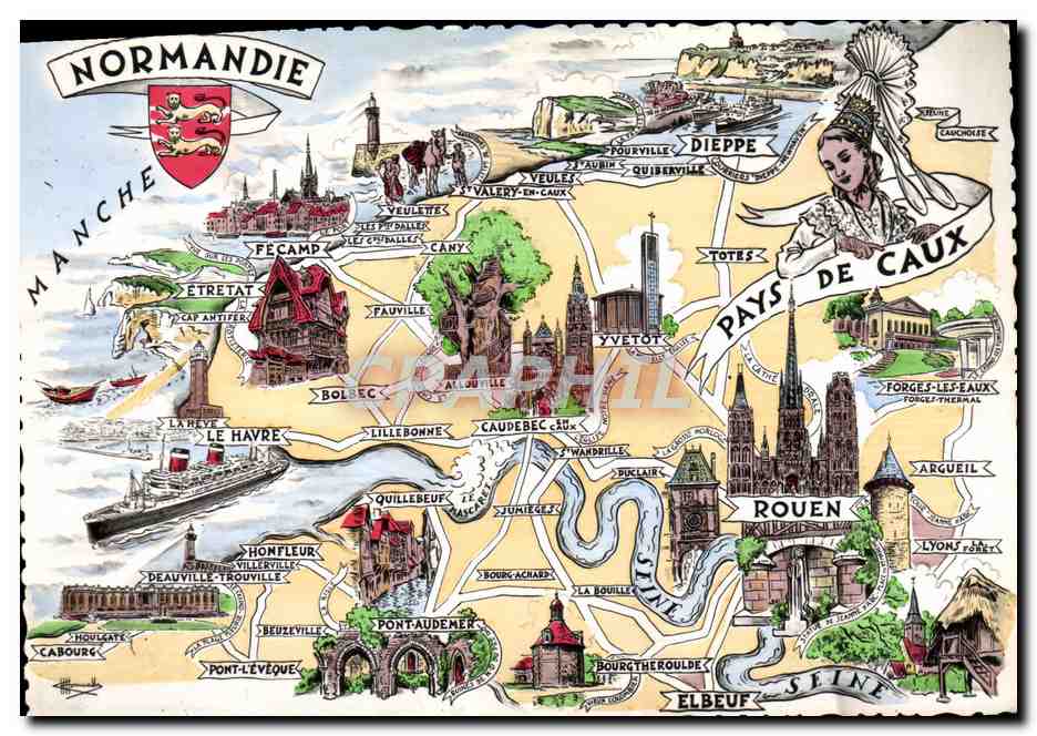 CPM Les Provinces Francaises Normandie Pays de Caux Le Havre Rouen 