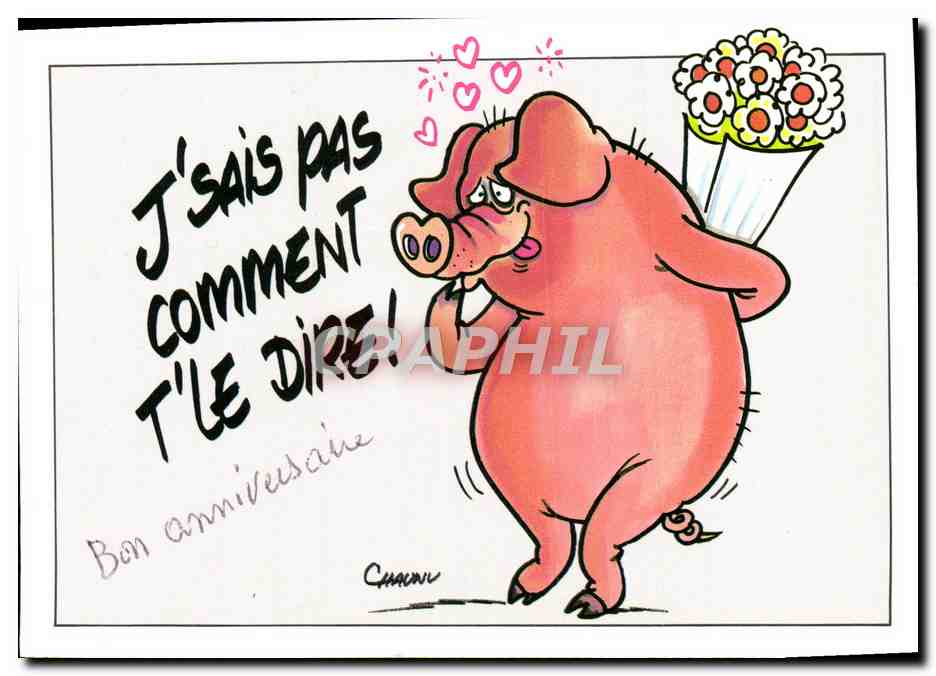 CPM J'Sais Pas Comment T'Le Dire Bon Anniversaire Fan Cochon Porc 