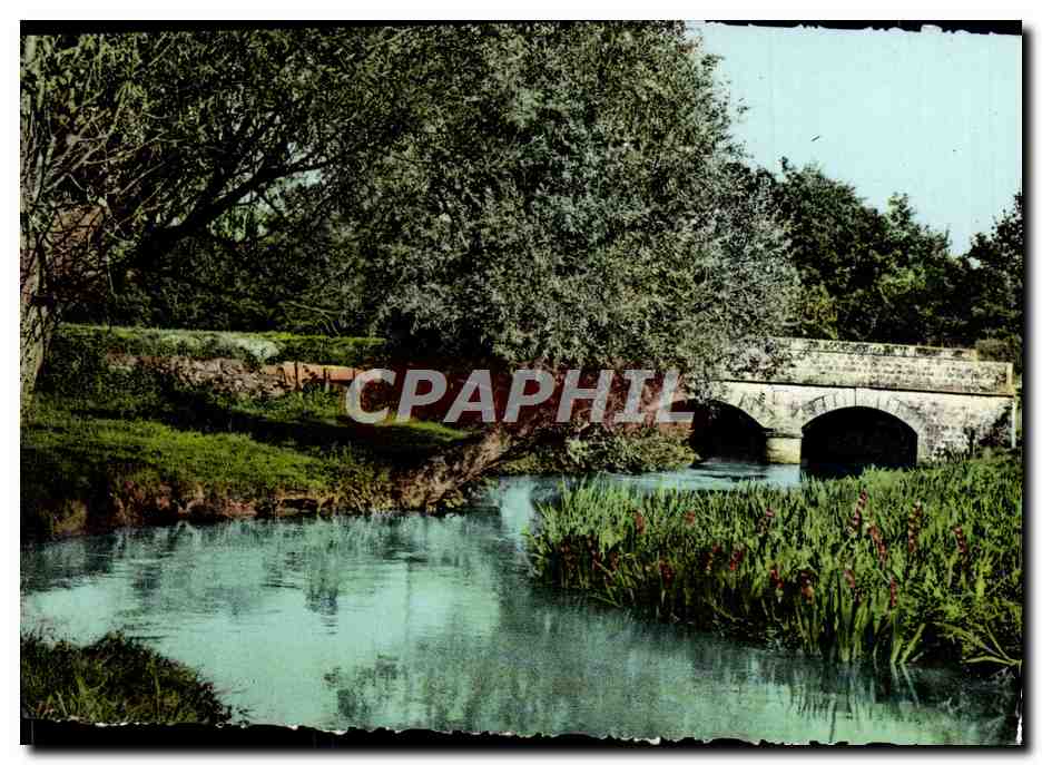 CPM La Normandie Pittoresque Pres Du Vieux Pont
