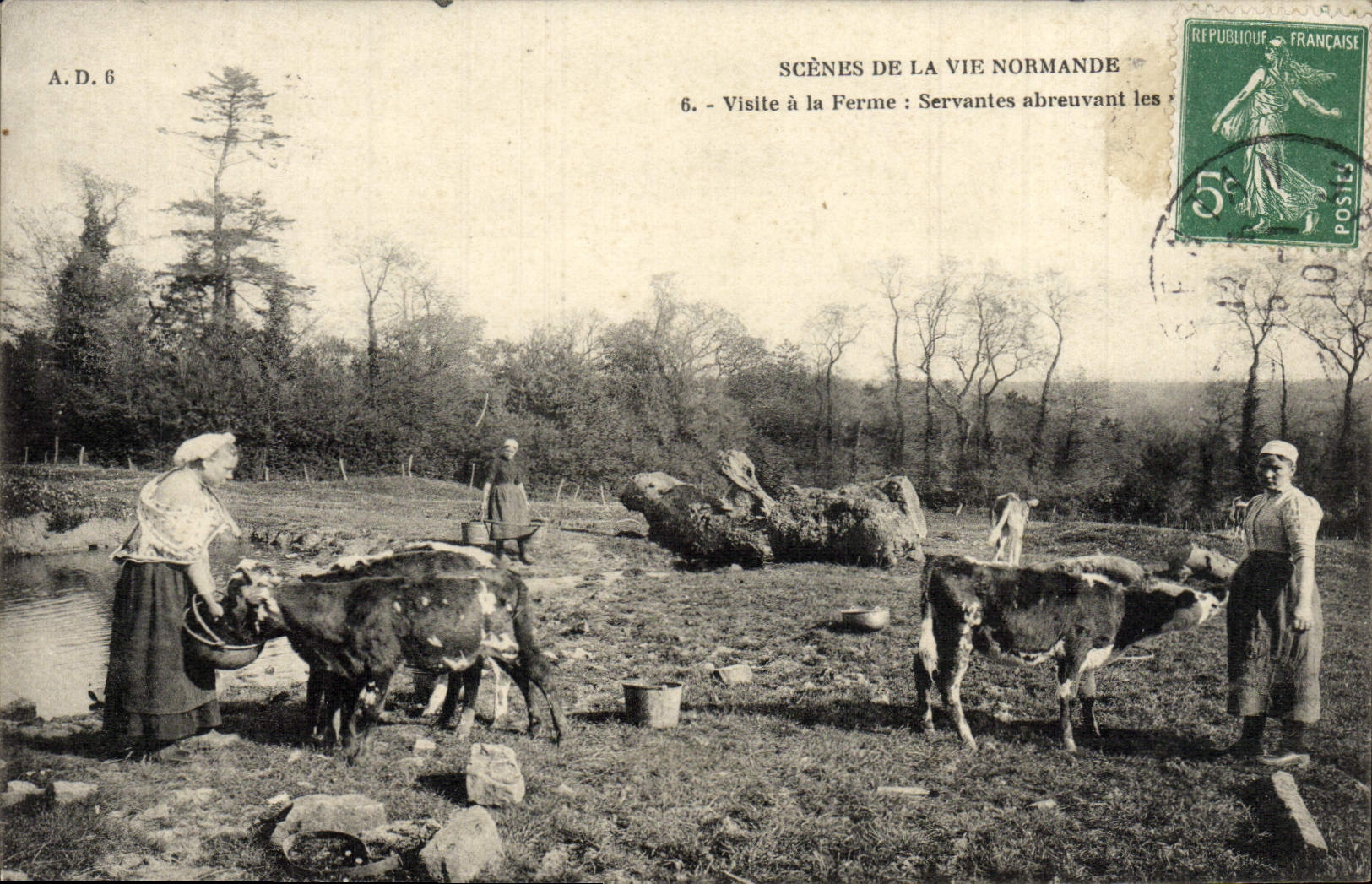 CPA Scenes De La Vie Normande Visite A la Ferme Vaches Folklore Servantes abreuvant les betes 