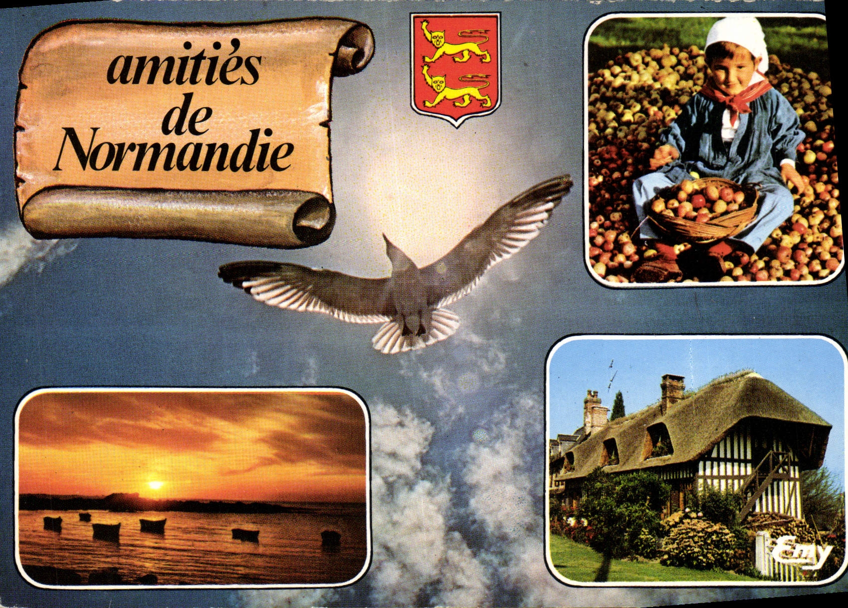 CPM La Normandie Pittoresque Folklore Mouette Enfant Pommes
