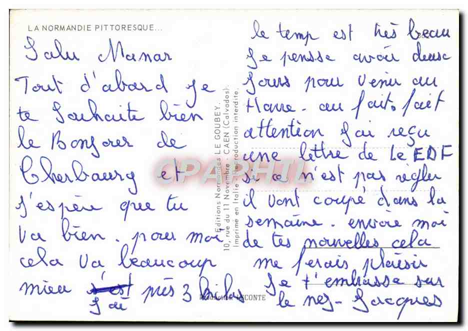 CPM La Normandie Pittoresque Folklore Mouette Enfant Pommes — Rückseite