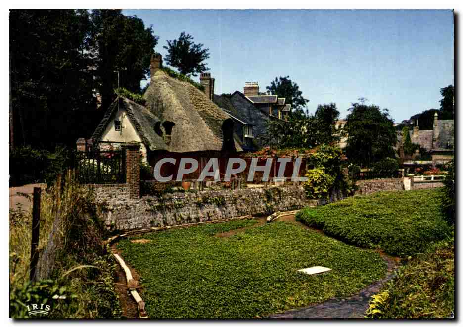 CPM Charmes et Couleurs De La Normandie Chaumiere normande 