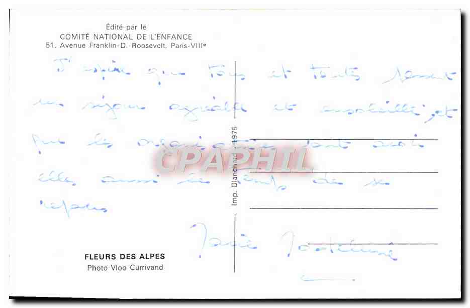 CPM Fleurs des alpes  — Verso