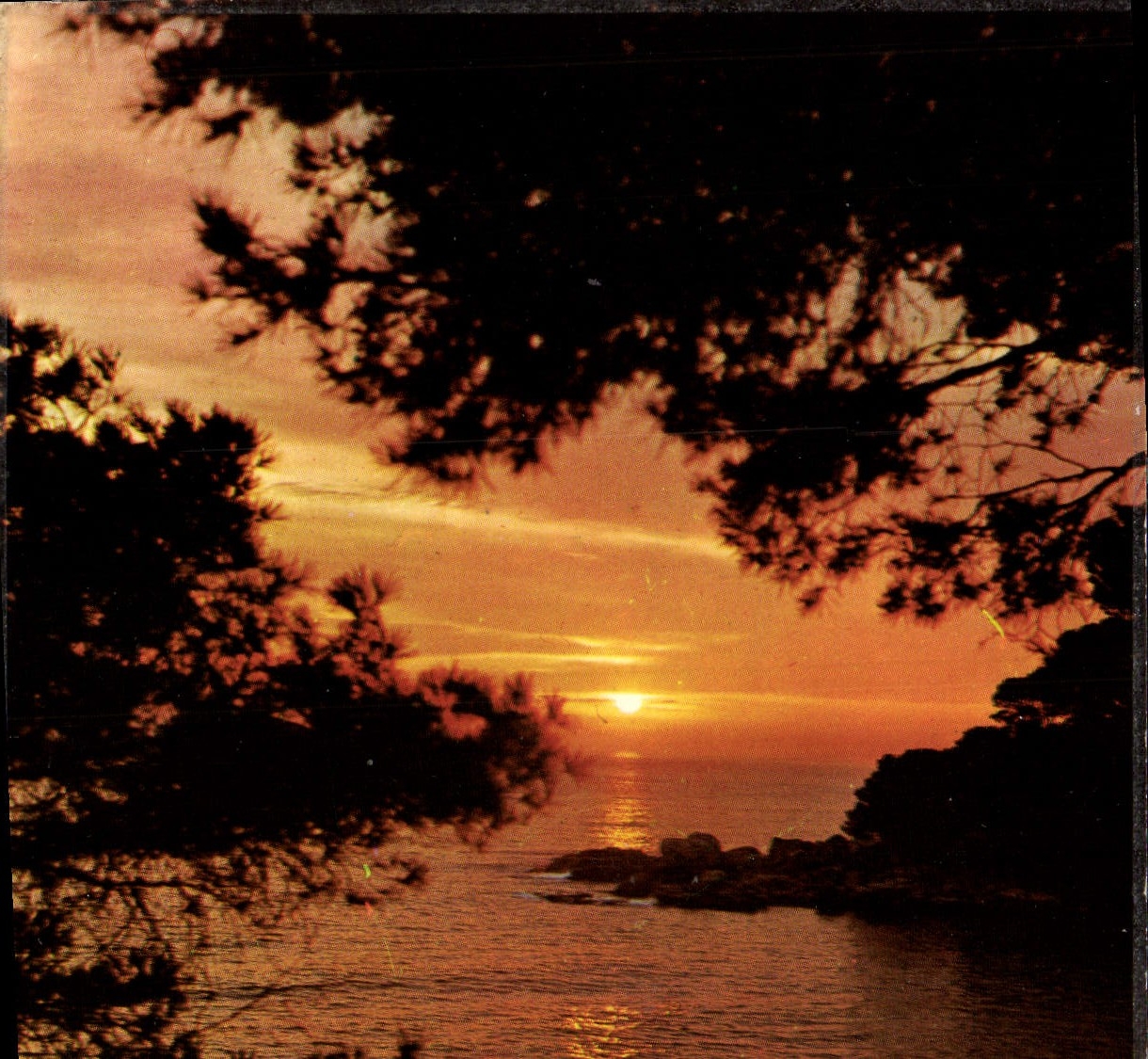 CPM Lumiere Et Beaute De La Cote D'Azur
