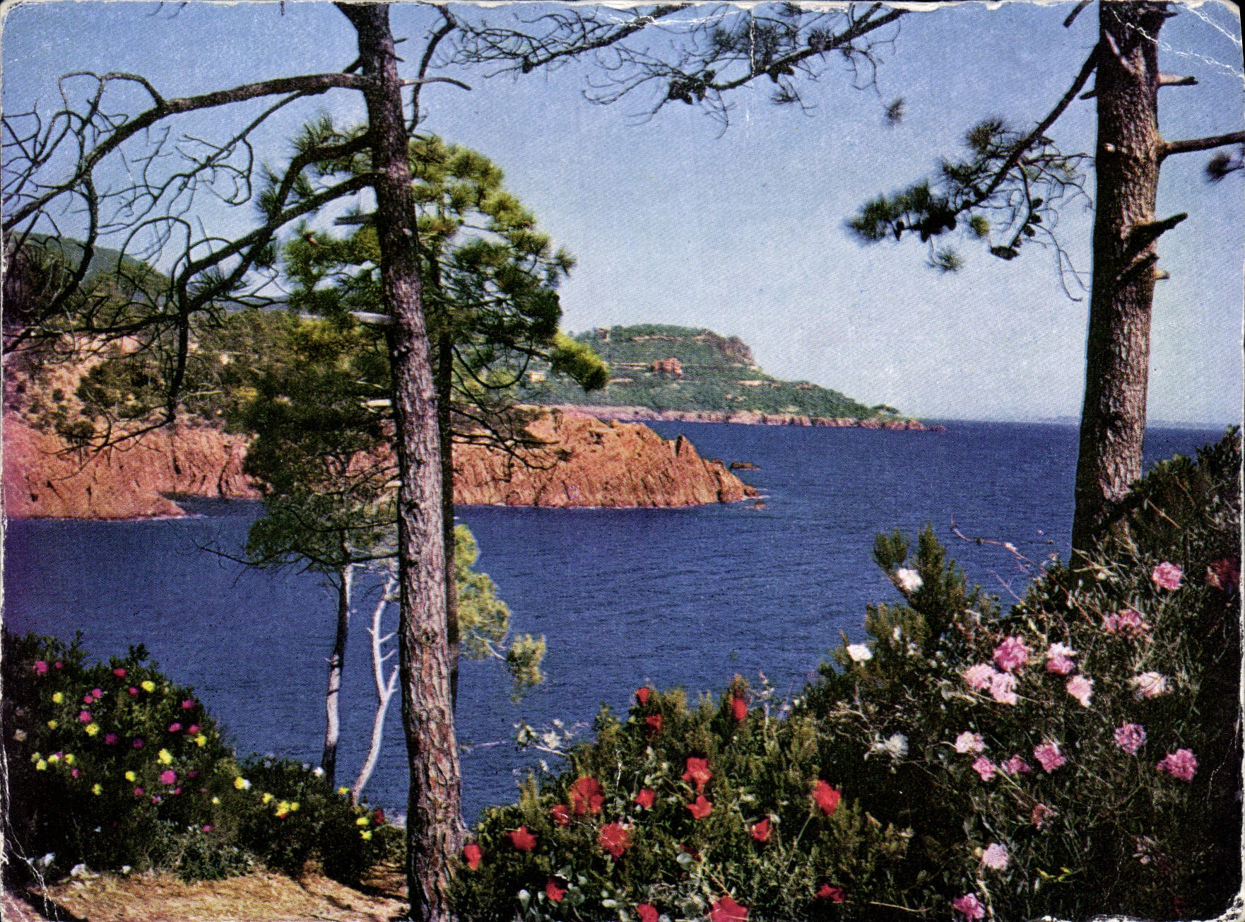 Fleurs sur la Côte d'Azur — vue côtière — Éditions Trubert, Imprimerie Kapp, Paris