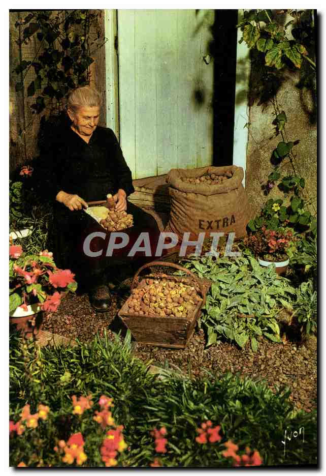 CPM Pays des truffes et des chateaux Perigord Casseuse de noix Folklore