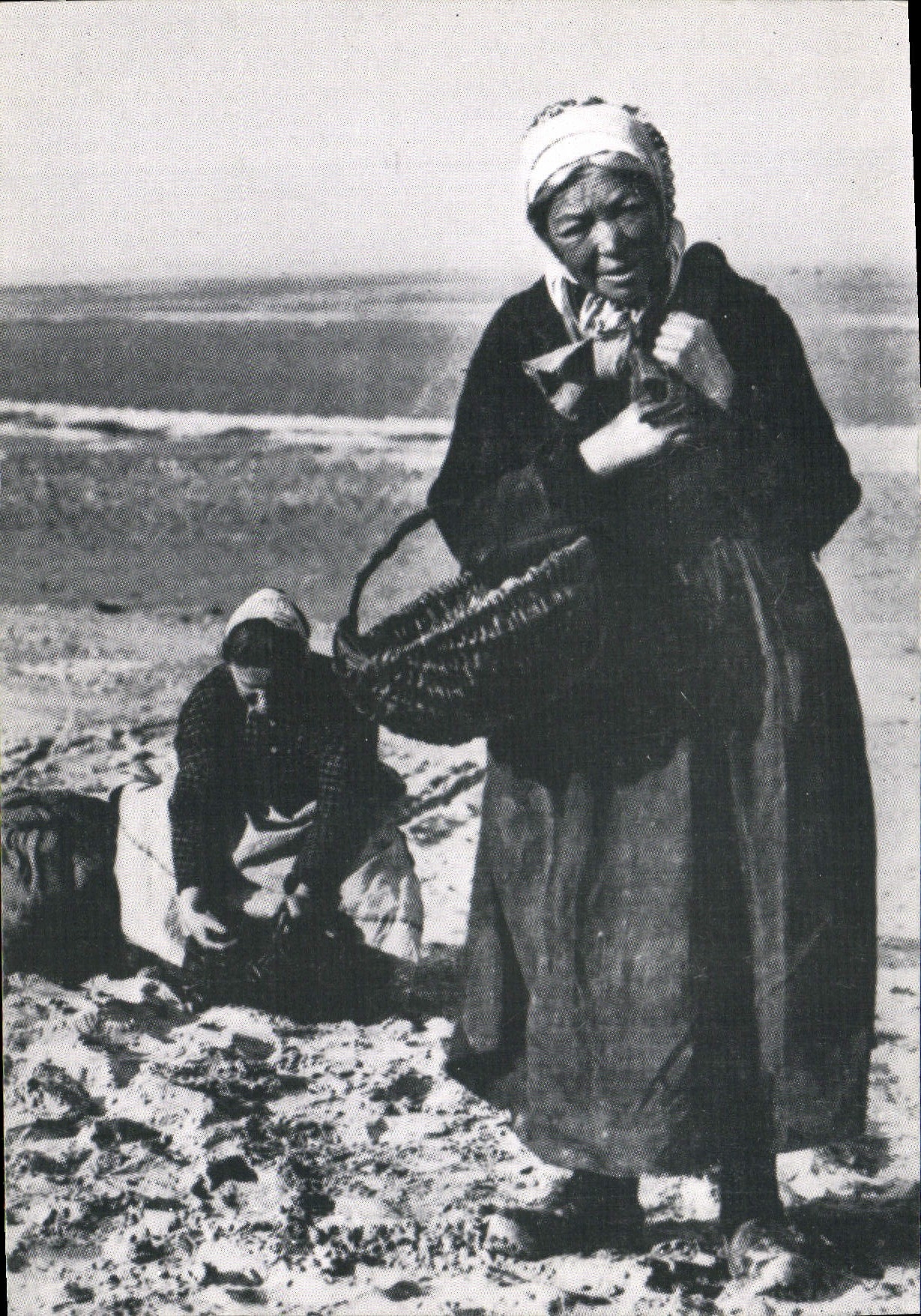 Pêcheuses de coques — Normandie d'autrefois — Éditions LE GOUBEY, Caen