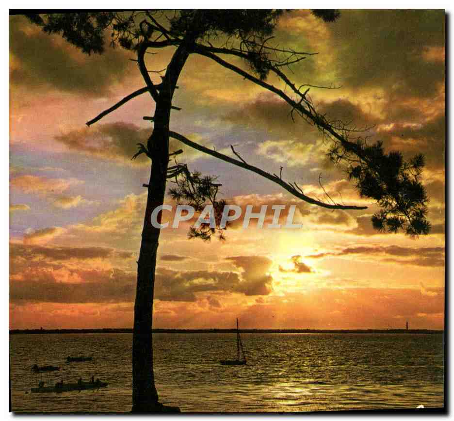 CPM Couleurs Et Lumiere De France Coucher De Coleil