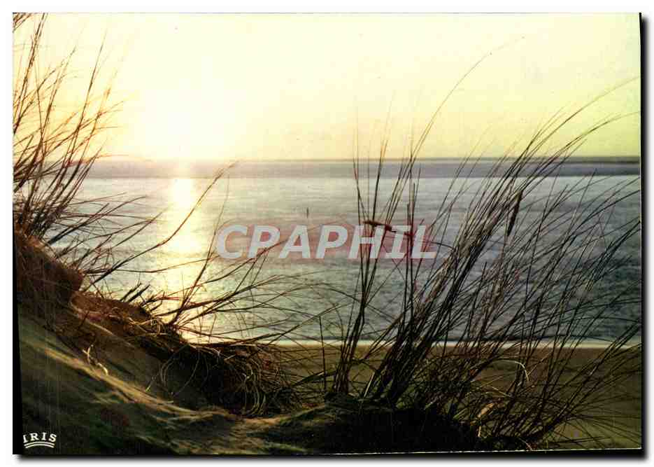 CPM Cote Atlantique Coucher De Soleil