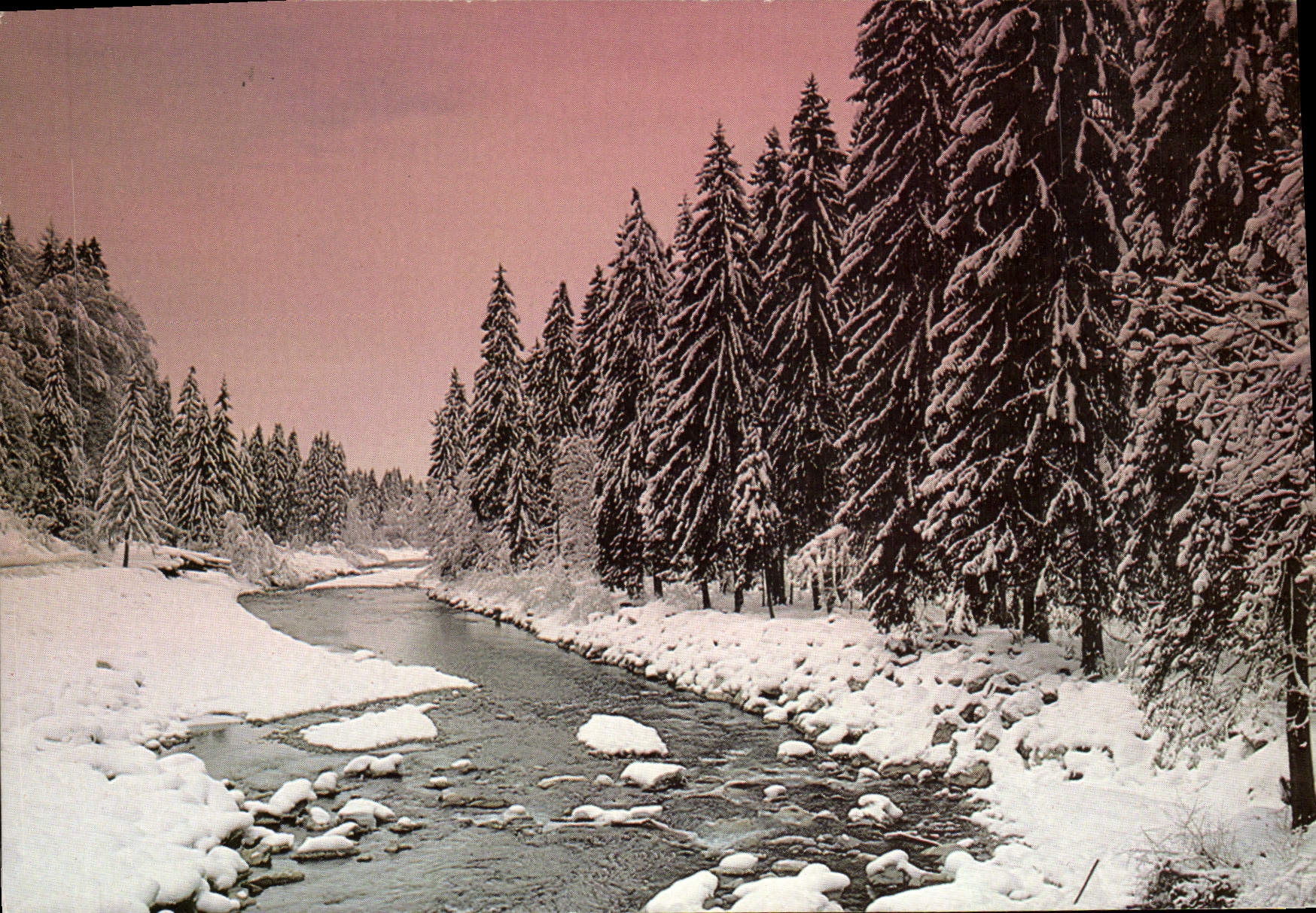 CPM Les arbres Francoz