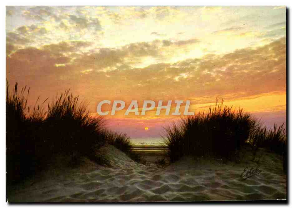 CPM Sur Les Cotes De France Coucher De Soleil Sur Les Dunes
