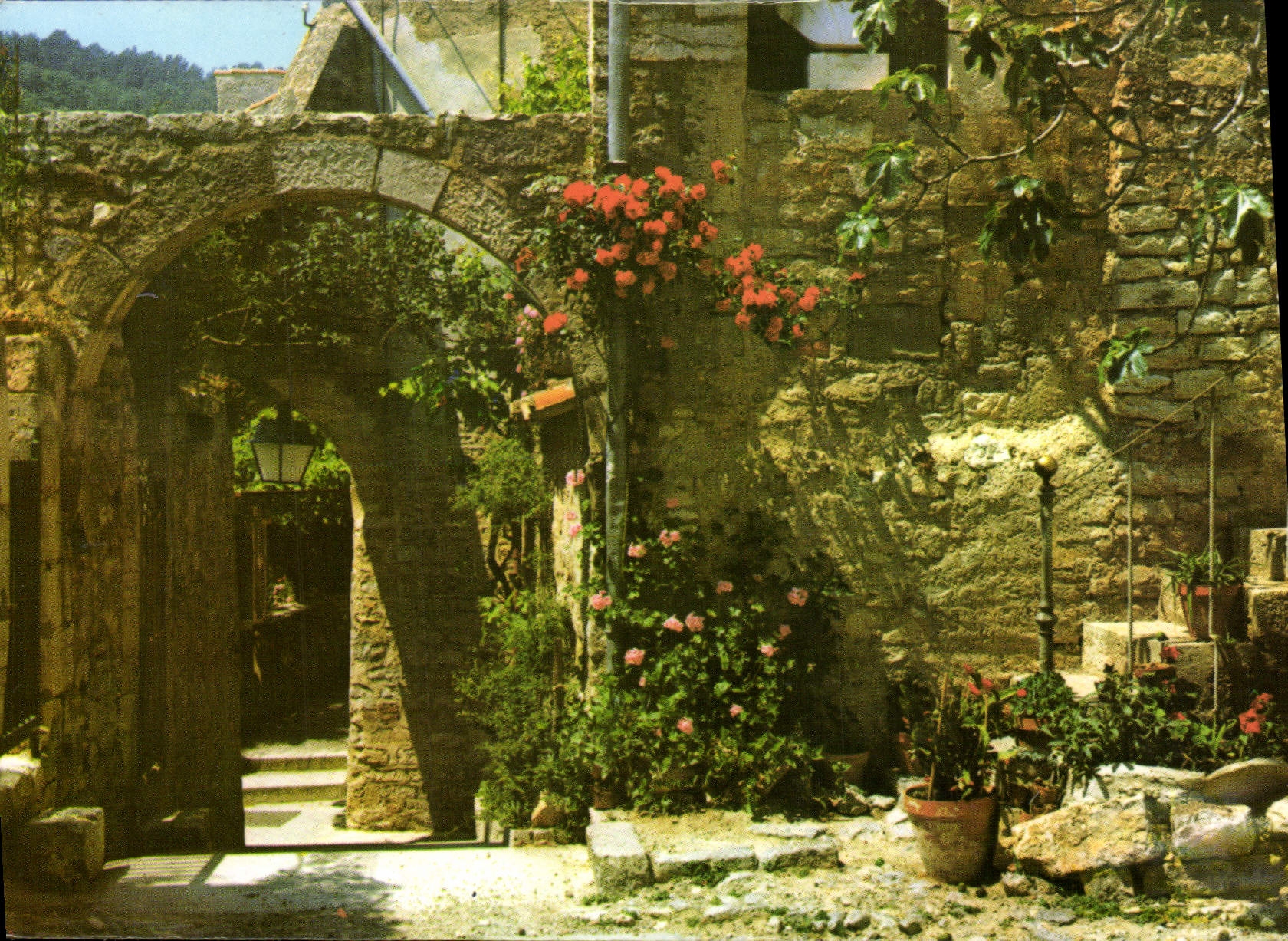 CPM Lumiere Et Beaute De La Cote d'Azur Les Villages De Provence Une rue fleurie 