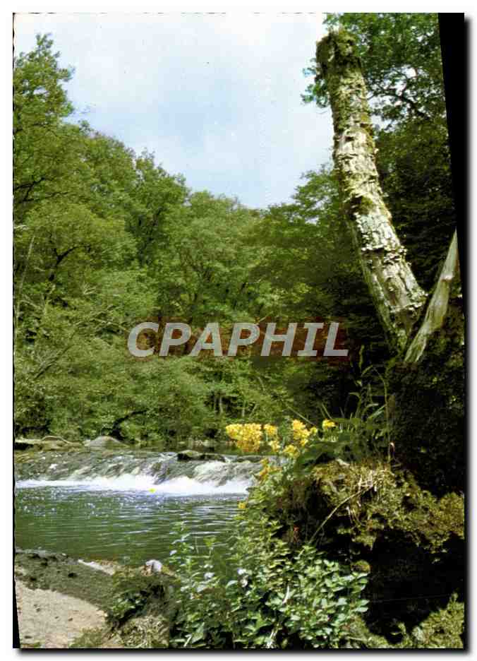 CPM Campagne Pittoresque Arbres 