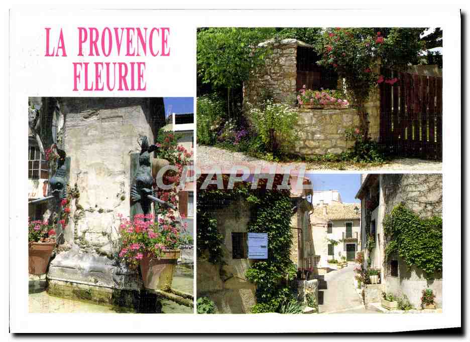 CPM La Provence Fleurie Fontaine de village Vieux puit provencal et ruelles fleuries
