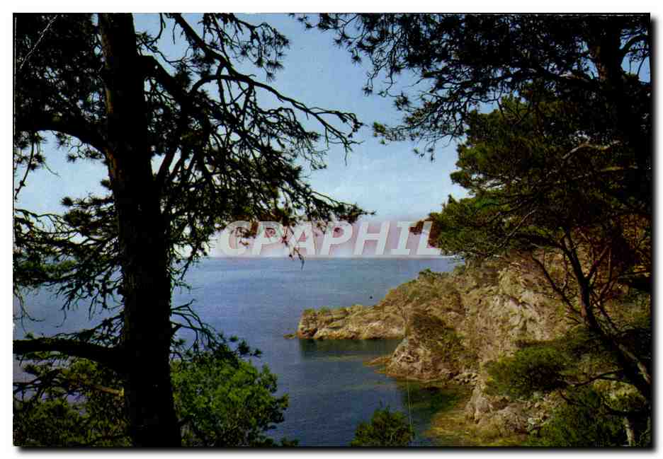 CPM Mediterranee Aux Rivages Sans Nuages Calanques Ou La Vague s'Abrite
