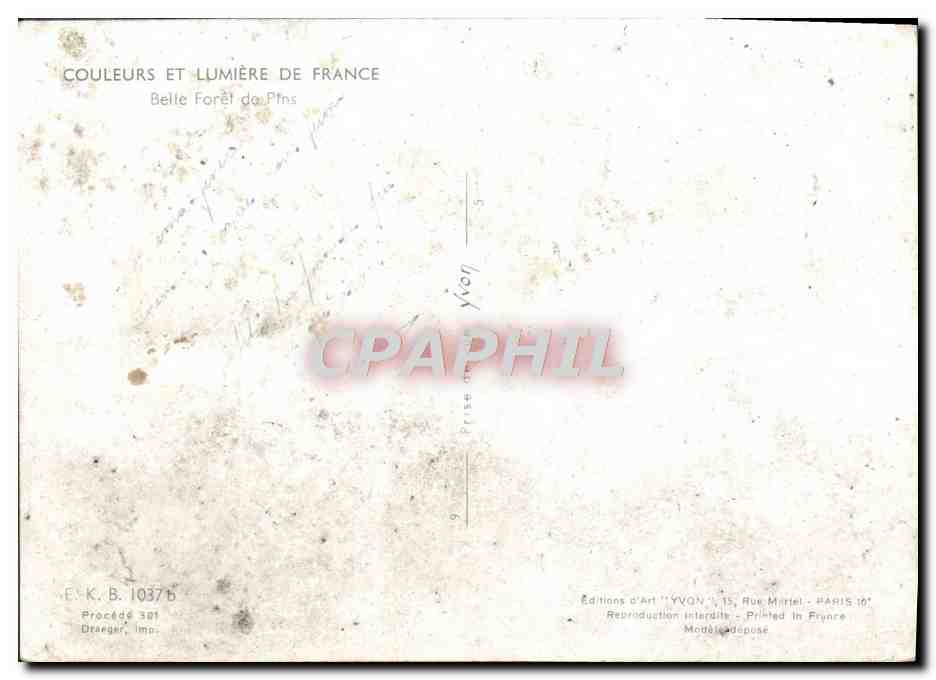 CPM Couleurs Et Lumiere De France Belle foret de pins — Back