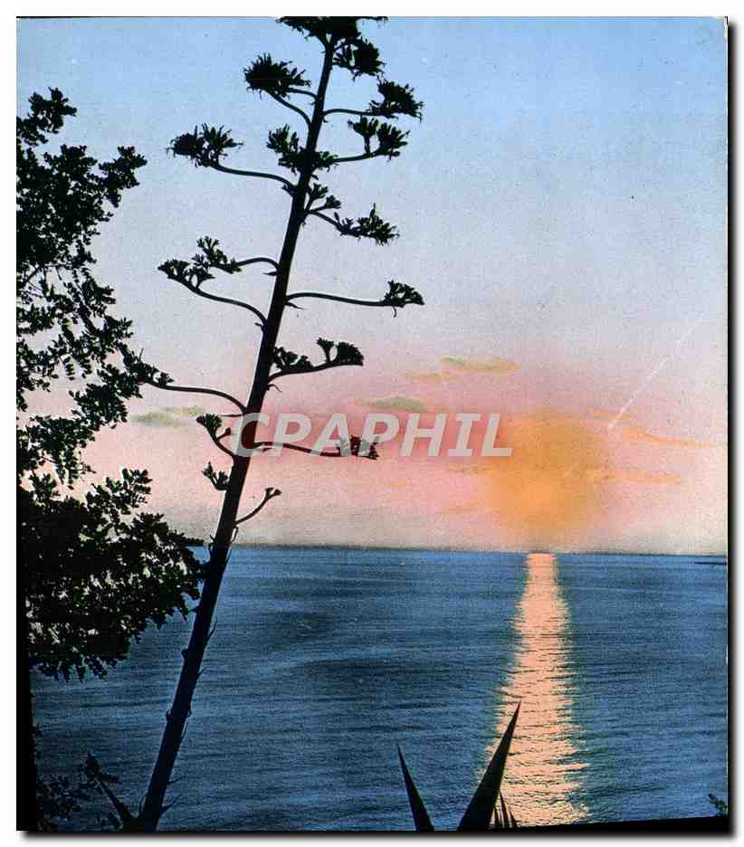 Soleil couchant sur la Méditerranée — Éditions S.E.P.T., Nice