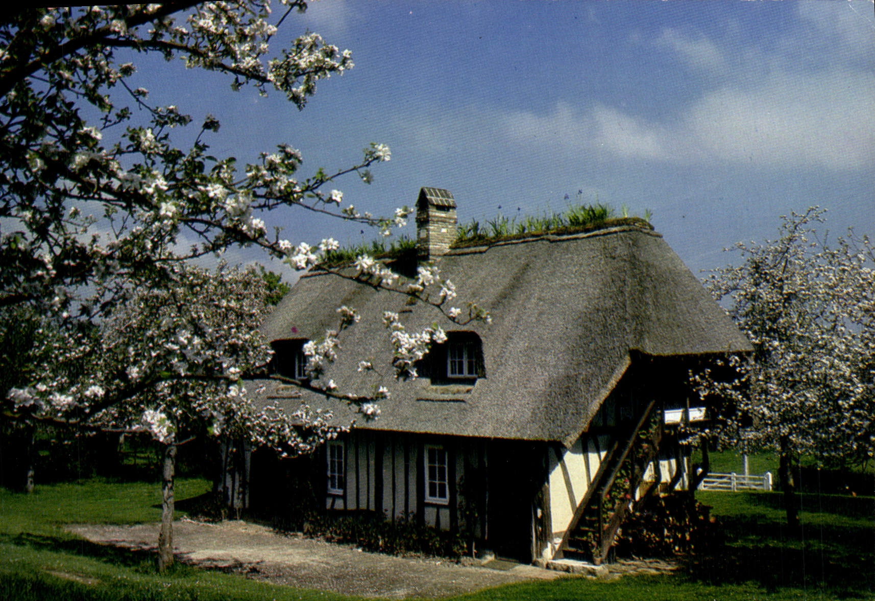 CPM La Normandie Pittoresque Cote fleurie Maison typique du marais Vernier 