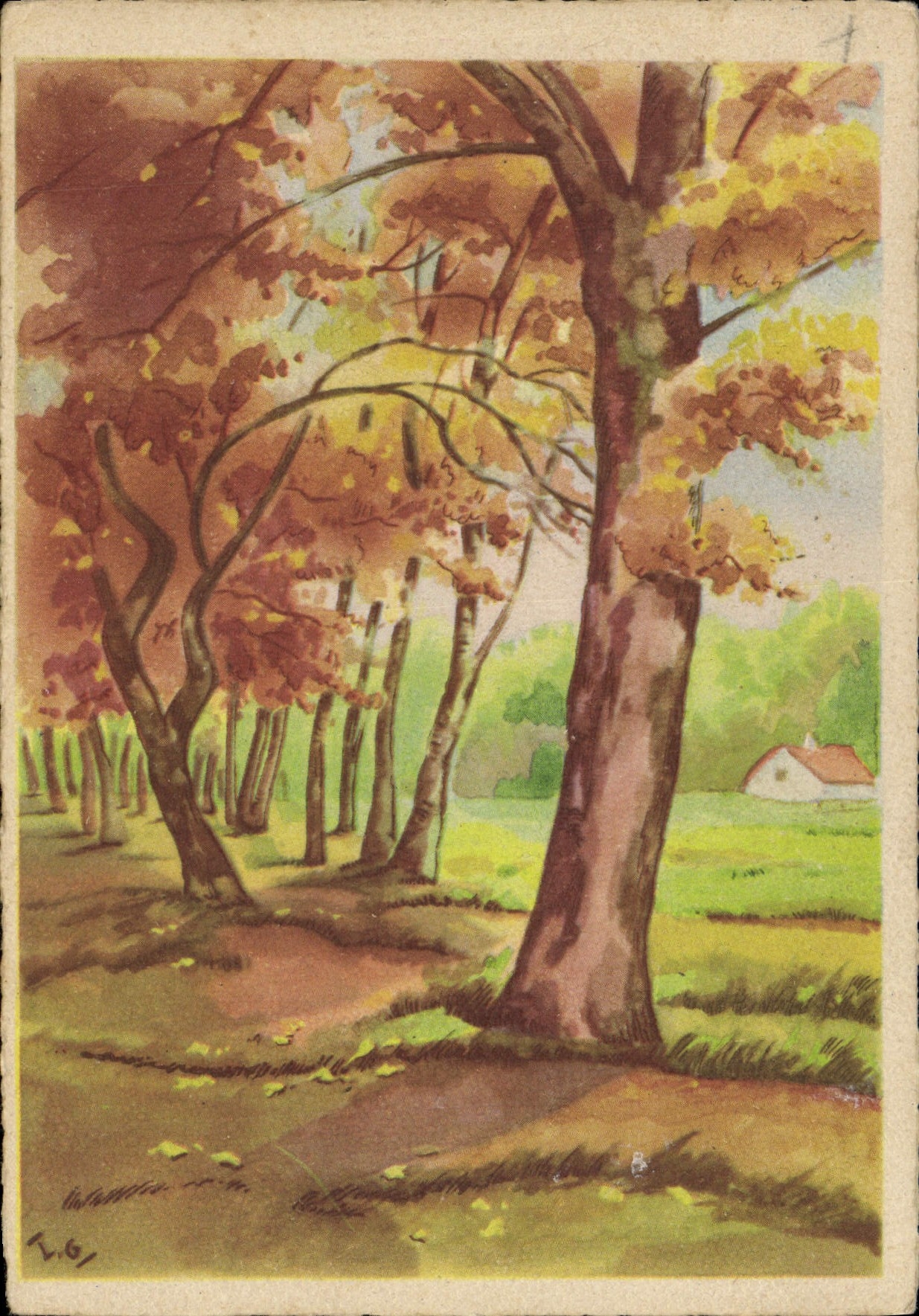 CPM Foret Arbres