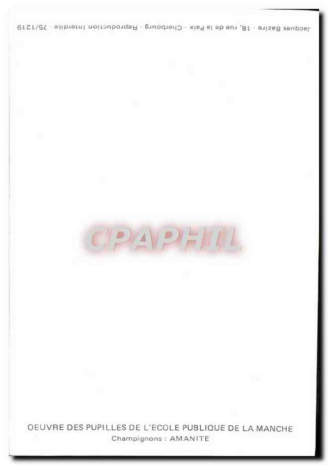 CPM Champignons Amanite champignon — Rückseite