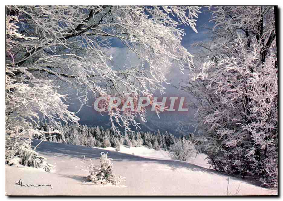 CPM Un matin pastel