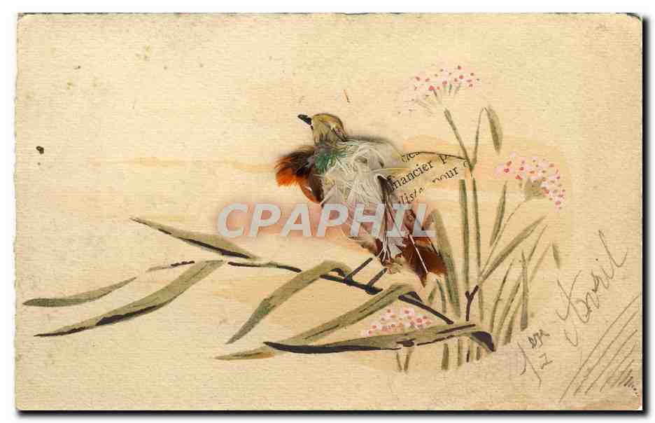 CPA Fantaisie Oiseau en plumes