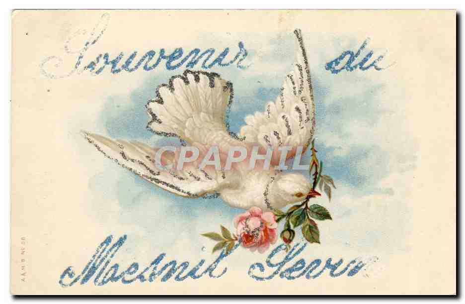 CPA Fantaisie Fleurs Mesnil Sevin Colombe 