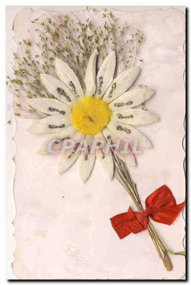 CPA Fantaisie Fleurs sechees