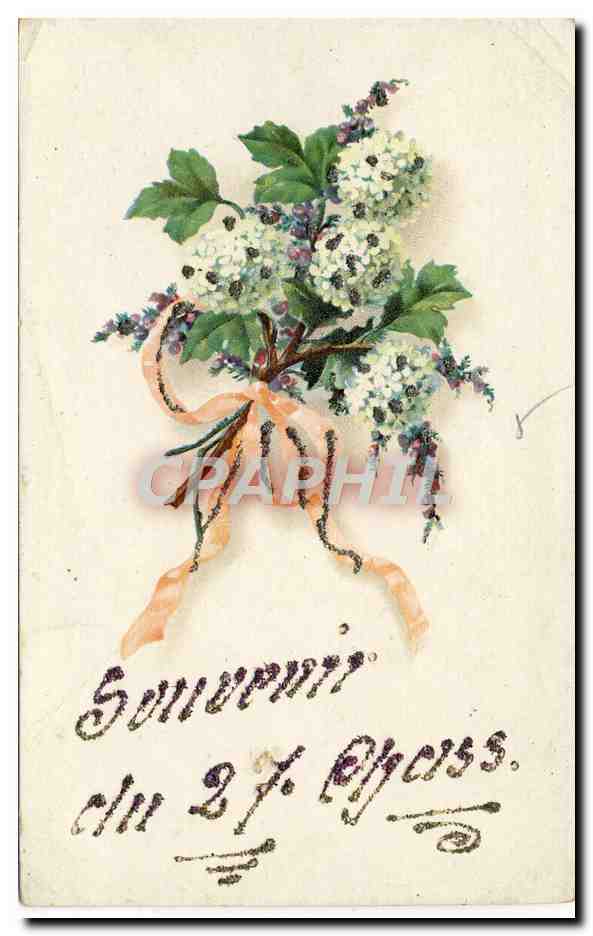 CPA Fantaisie Fleurs Souvenir du 27elme Chasseurs Alpins Militaria 