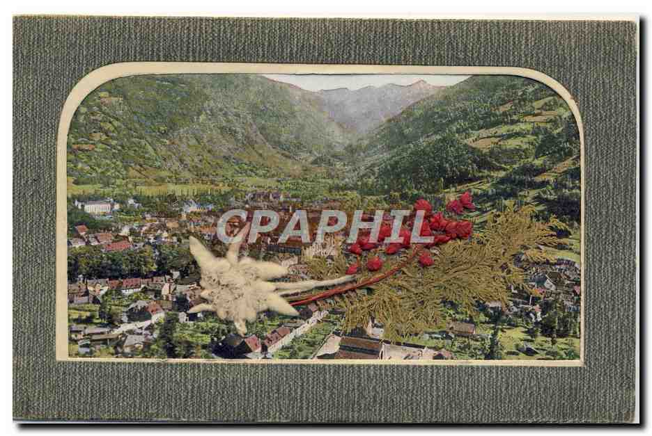 CPA Fantaisie Fleurs sechees Suisse