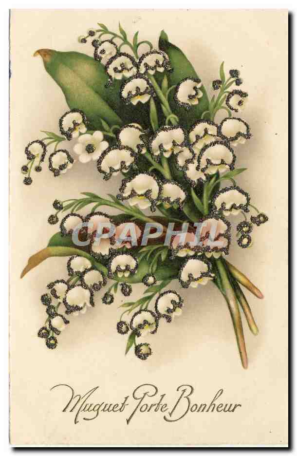 CPA Fantaisie Fleurs Muguet