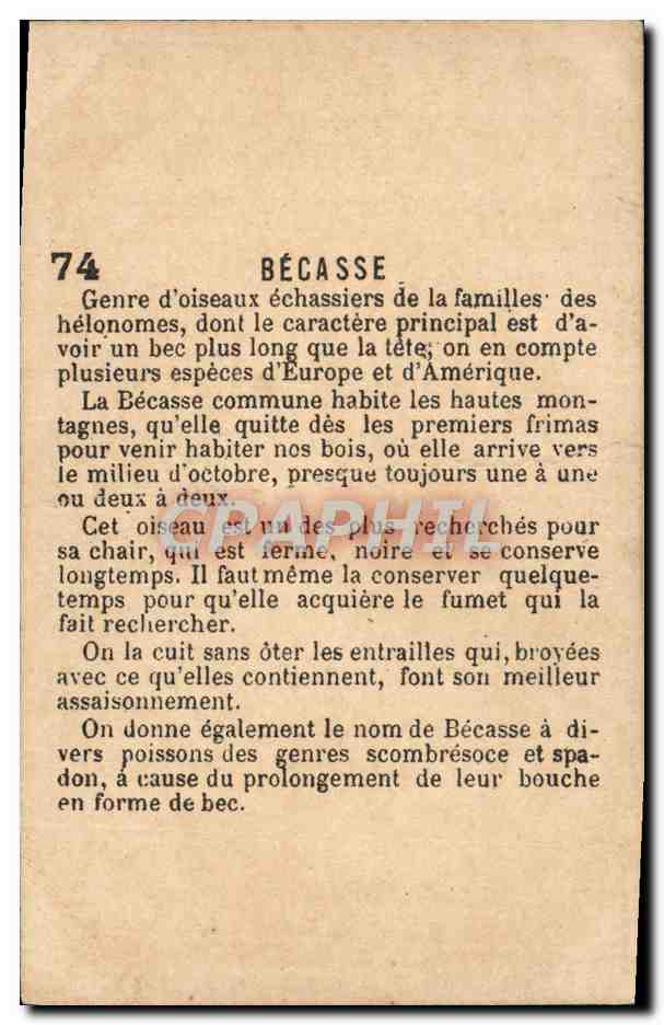 Chromo Becasse Oiseau — Verso