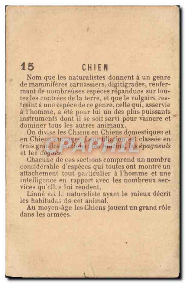 Chromo Chien — Rückseite