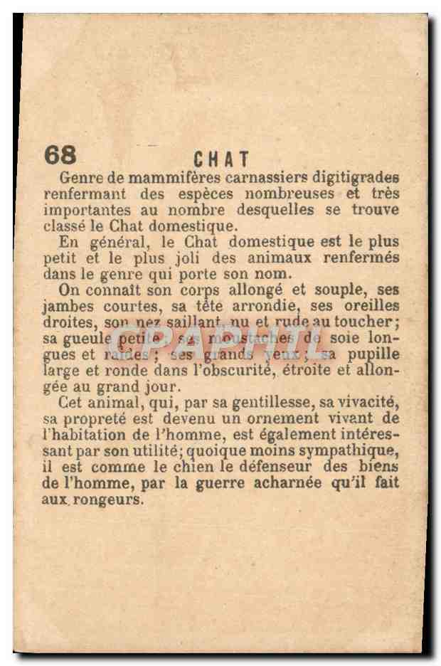 Chromo Chat — Verso