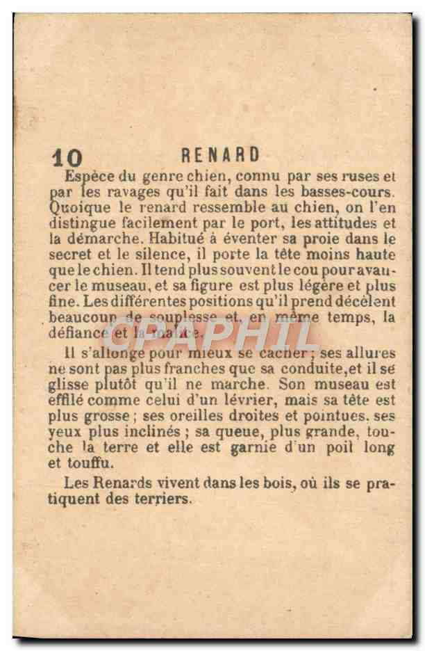Chromo Renard — Verso