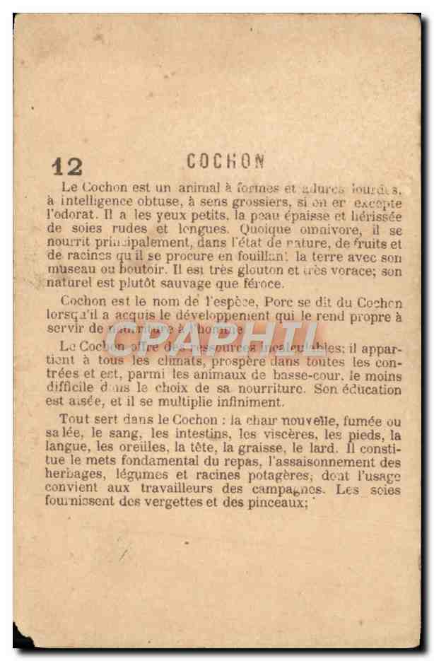 Chromo Cochon Porc  — Rückseite