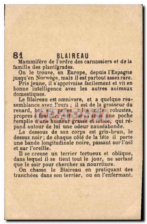 Chromo Blaireau — Rückseite