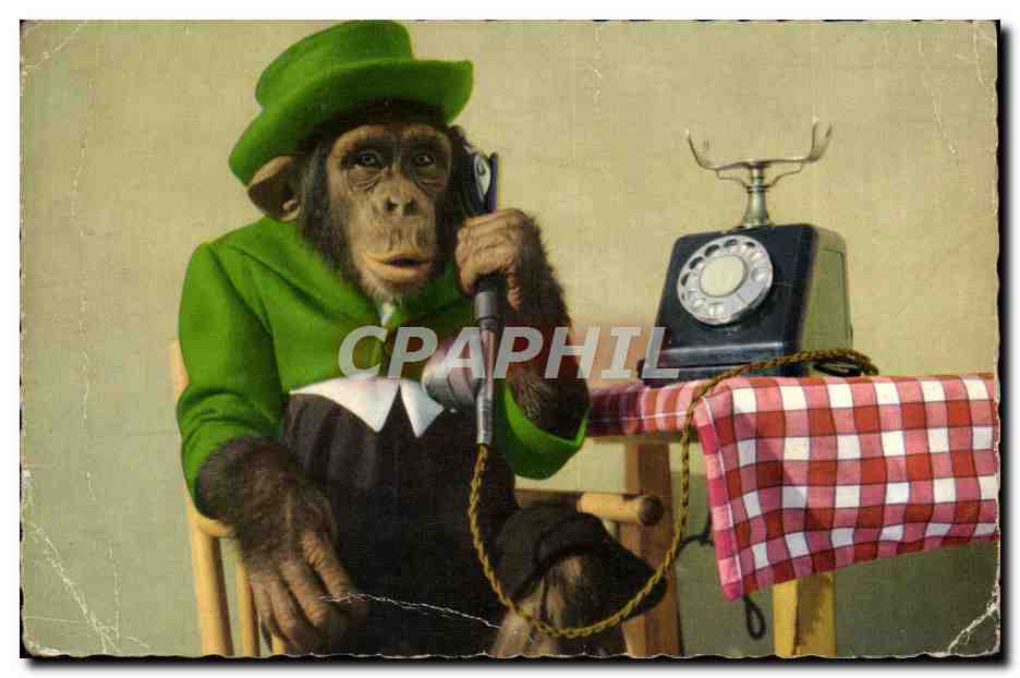 CPM Singe Telephone 