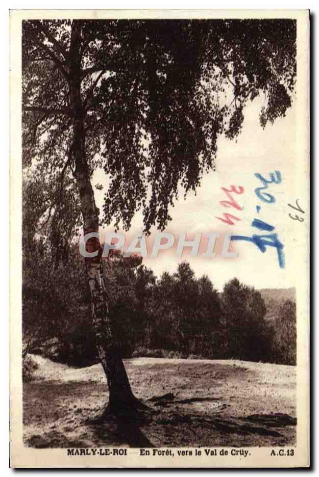 CPA Marly Le Roi En Foret Vers le Val de Cruy