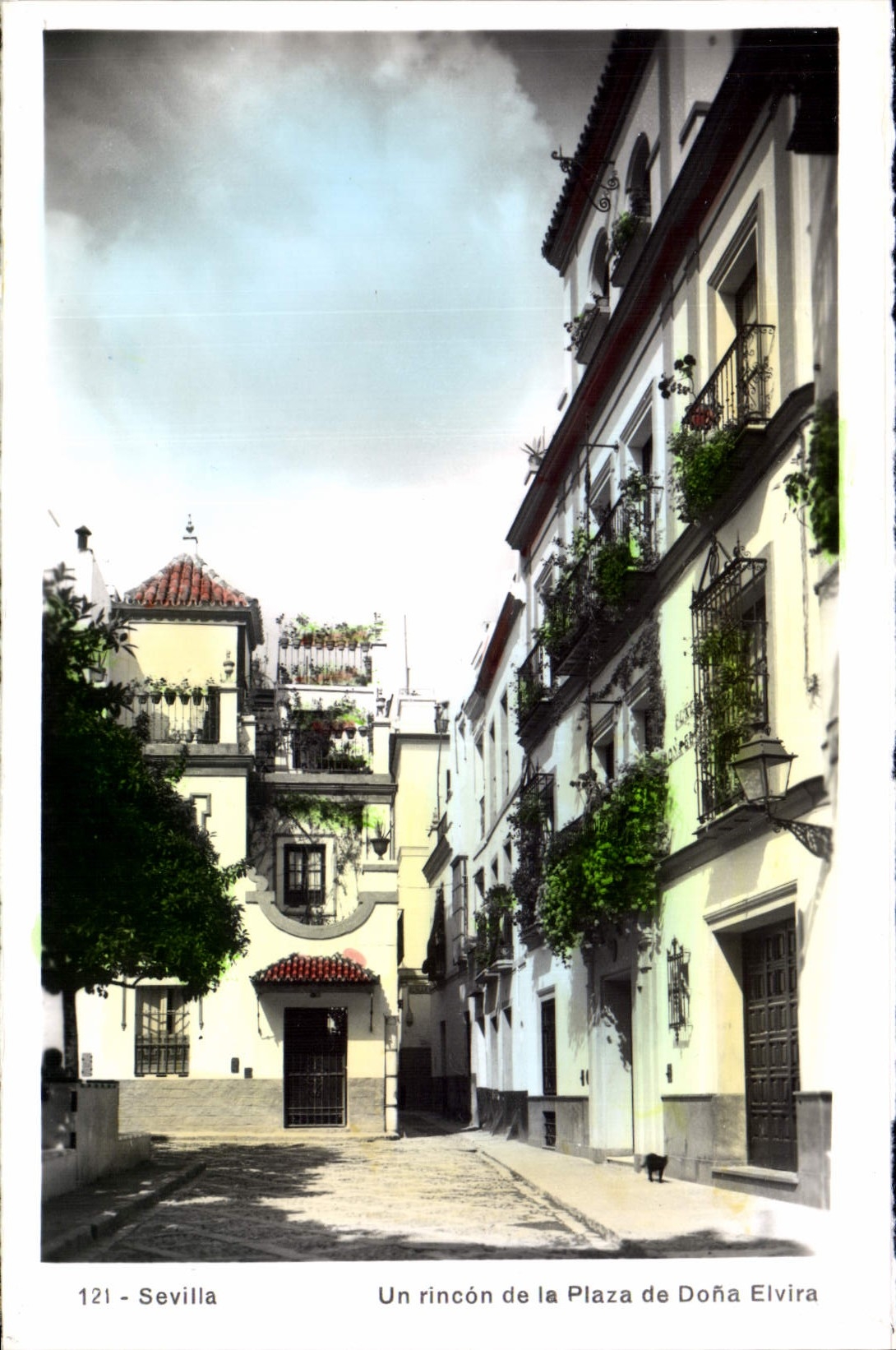 Sevilla — Un rincón de la Plaza de Doña Elvira — série 121