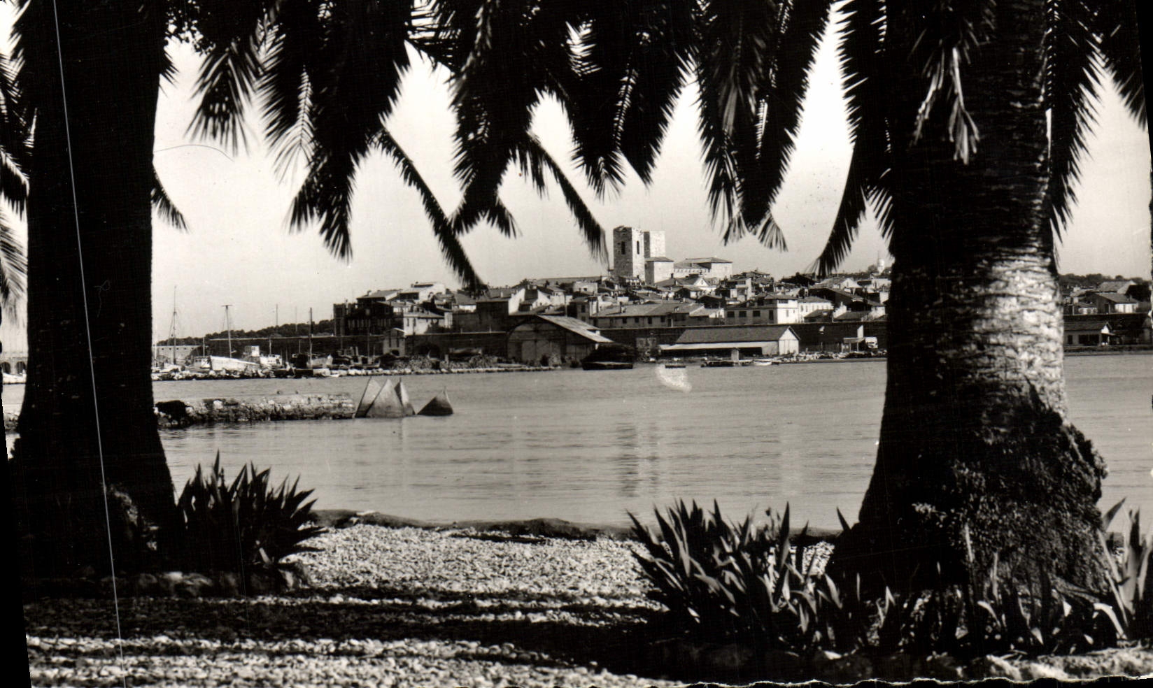Antibes — Echappée sur la vieille ville à travers les palmiers — Éditions S.E.P.T. - 35, Bd des belles - NICE
